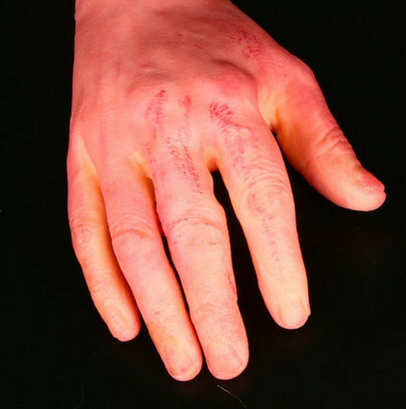 Blood Severed Limbs Hands Horror Chop Shop Prop Party