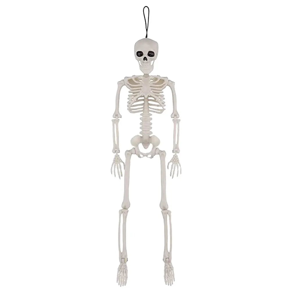 Spooky Scary Skeleton