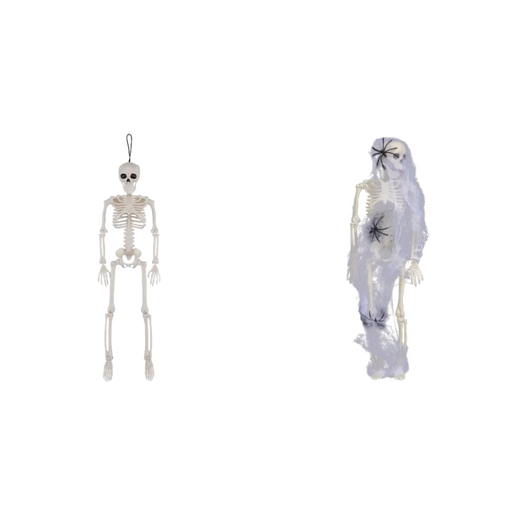 Spooky Scary Skeleton